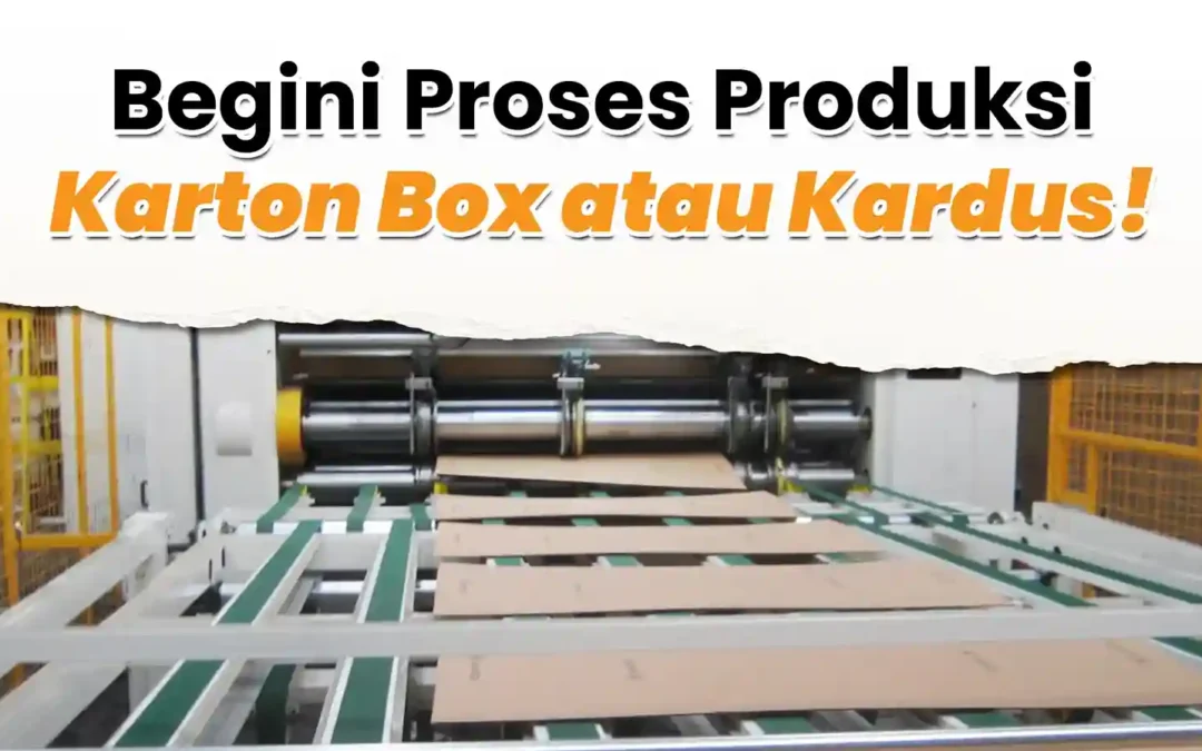 Begini Proses Produksi Karton Box atau Kardus! 